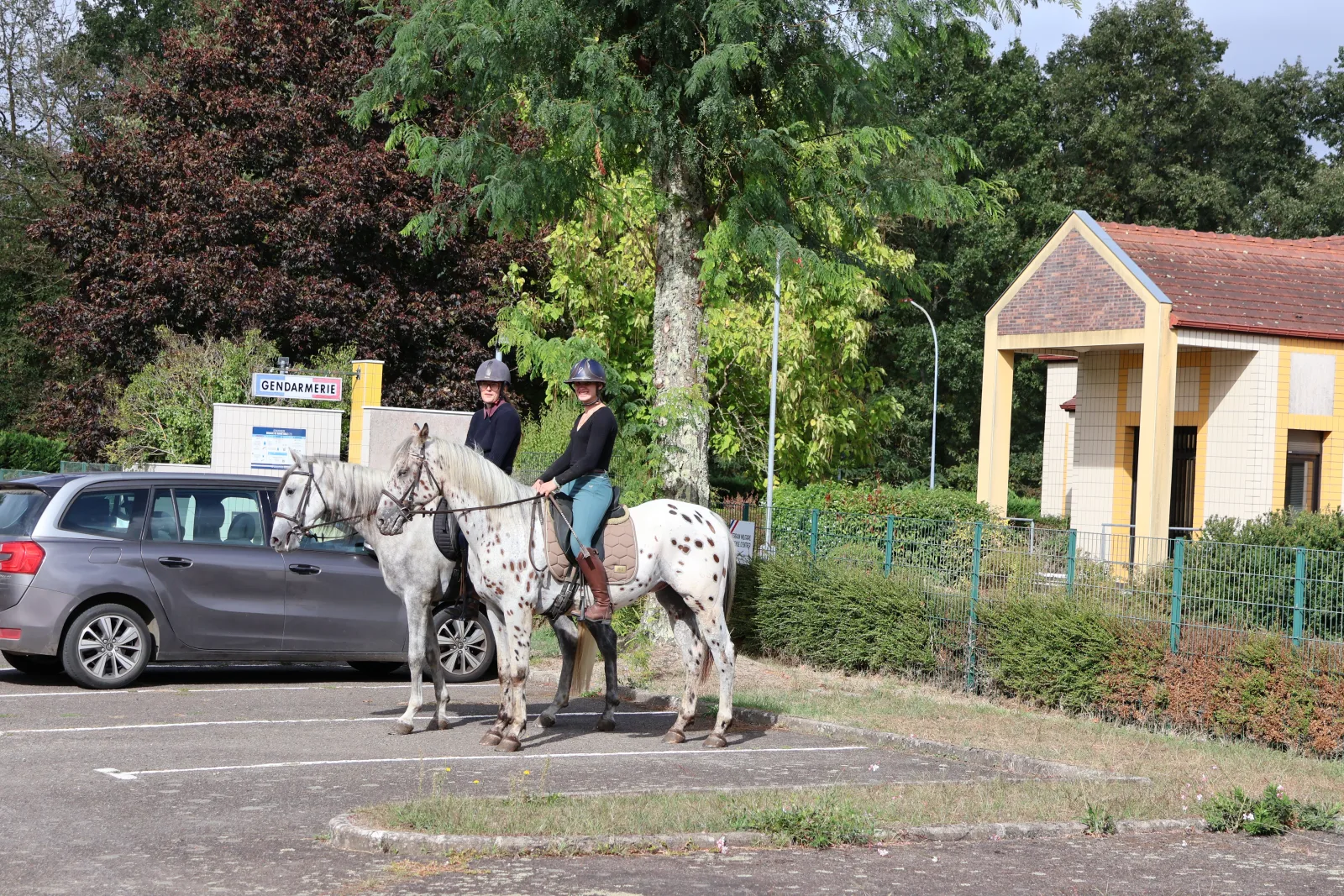 Photo 12